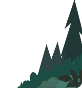 Ilustración de hoja perenne