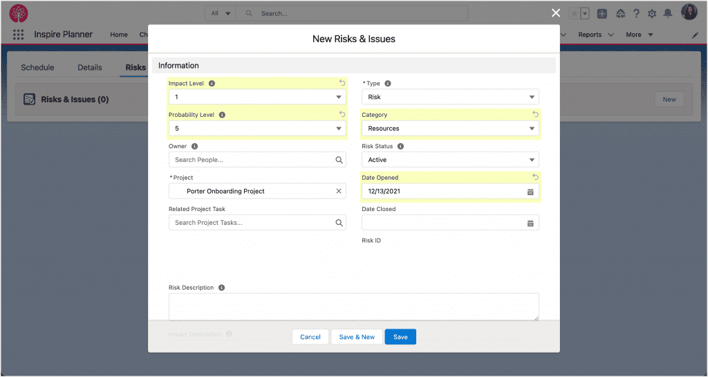 Registro de riesgos del proyecto en Inspire Planner